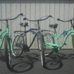 Bike Rentals